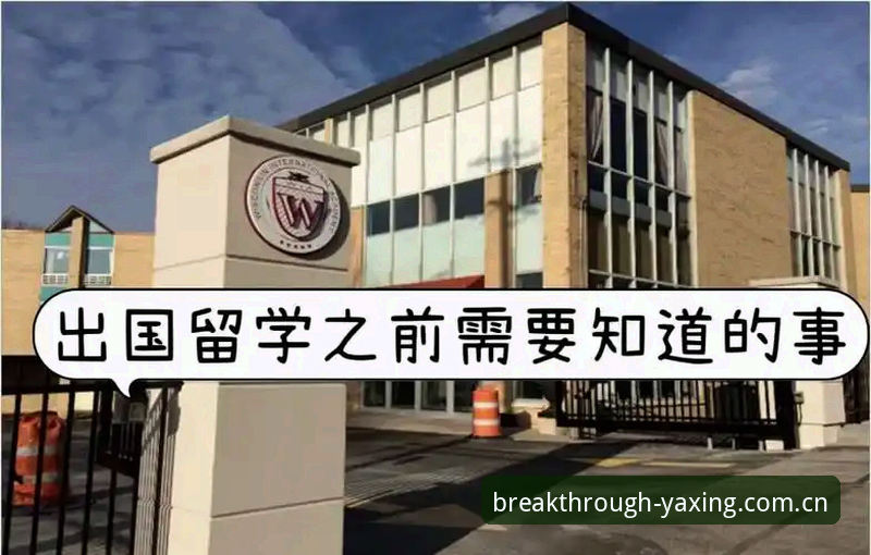YAXING亚星中国网页版入口 避开观赛迷路雷区,从阿根廷大胜到亚星平台使用避坑手册